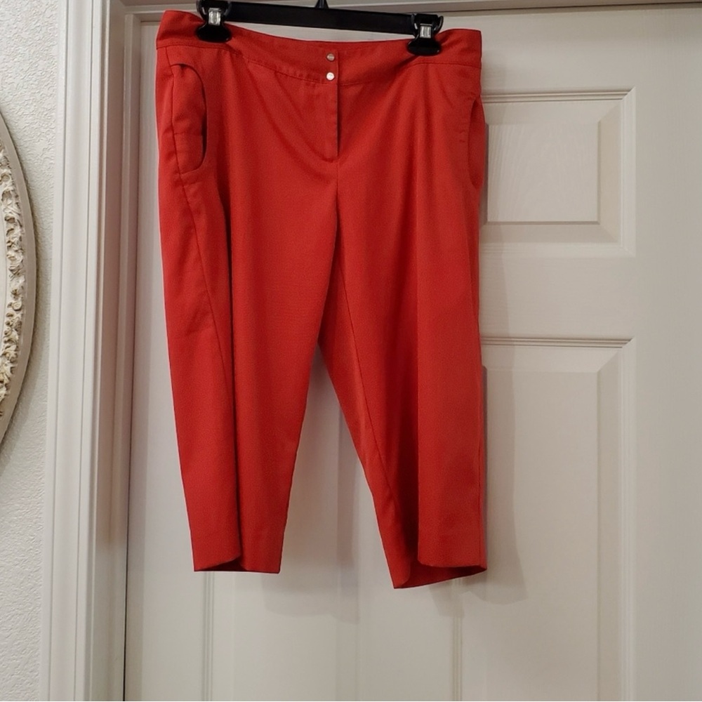 Izod Stretch Red Pants are a size 6.